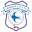 كارديف سيتي